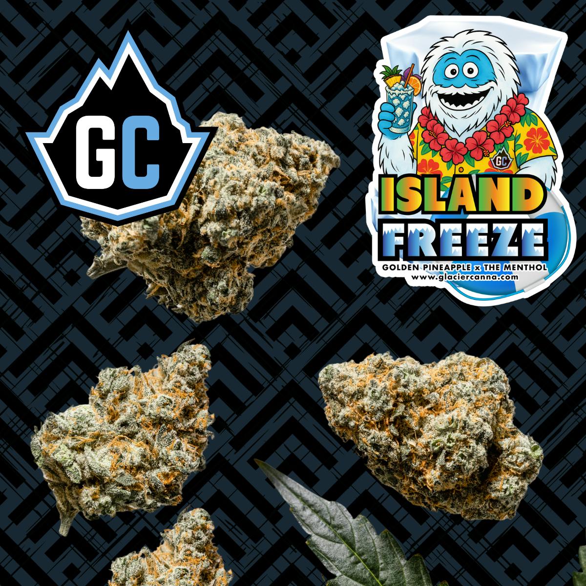 Glacier Cannabis | Island Freeze | Bulk Flower by Glacier Cannabis