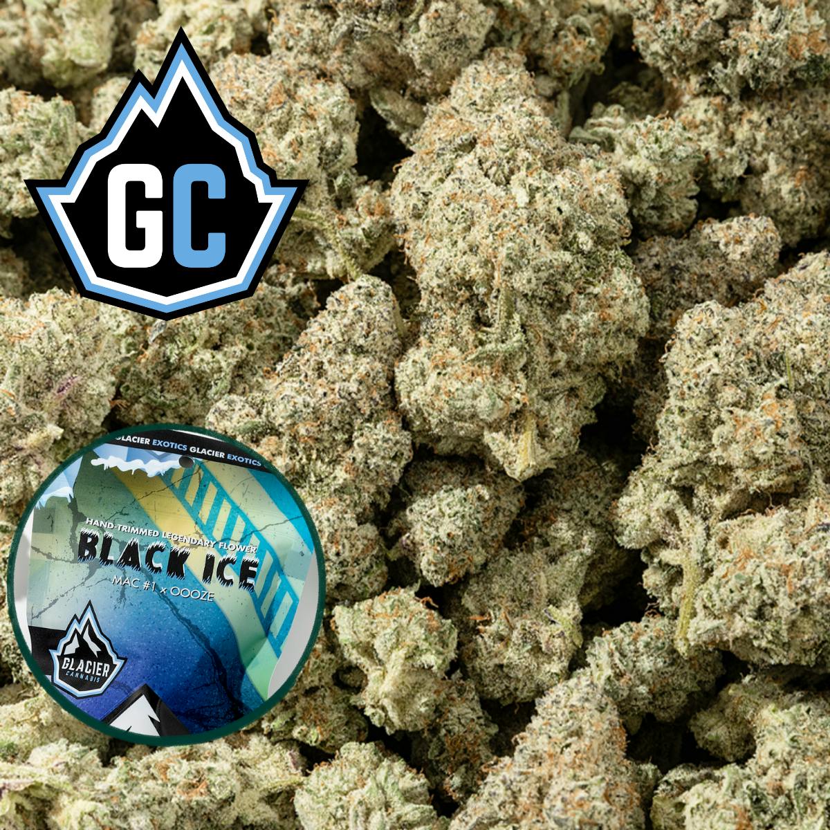 Black Ice | Bulk Flower by Glacier Cannabis