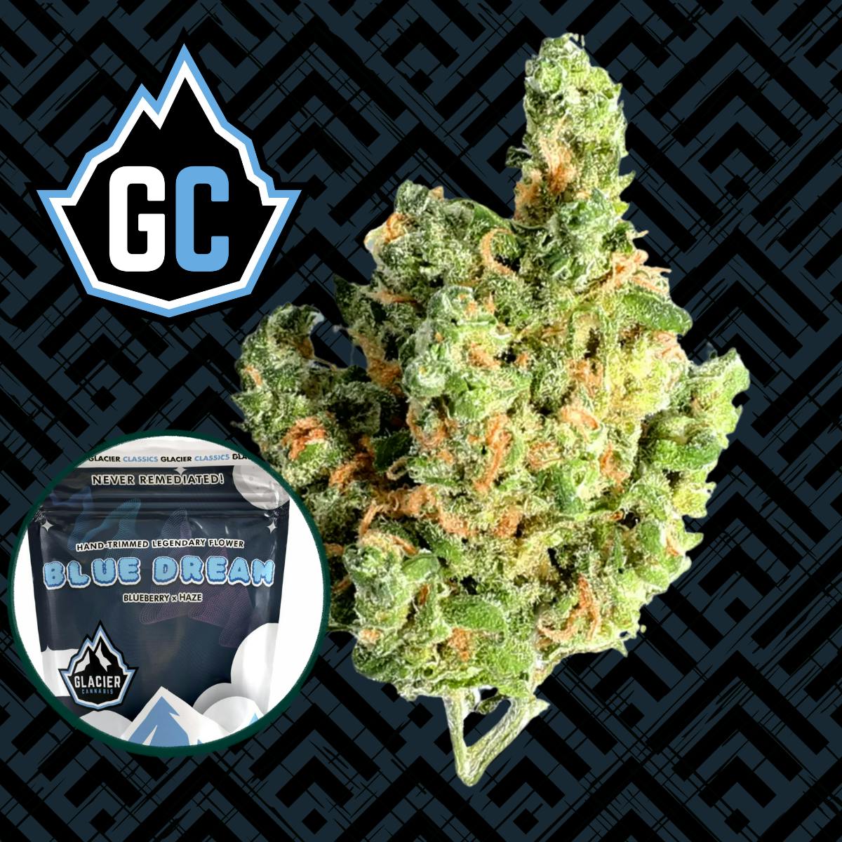 Glacier Cannabis | Blue Dream | Bulk Flower by Glacier Cannabis