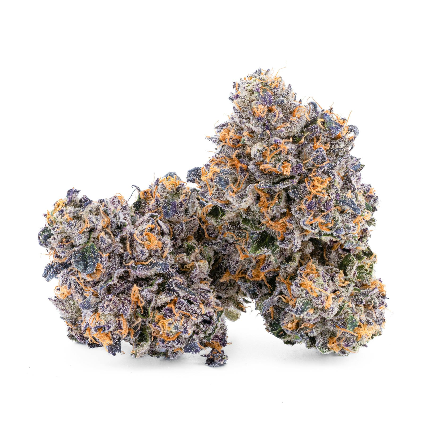 Choco Cherry Runtz Premium Flower