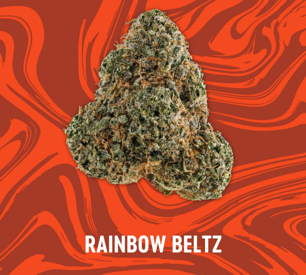 Vivid | Rainbow Beltz | Big Buds | 3.5g by Vivid