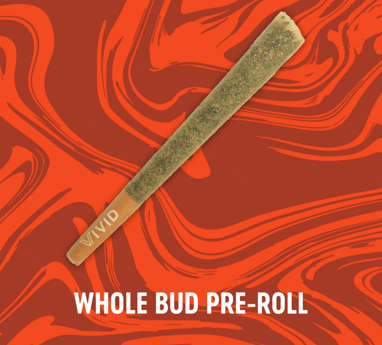 Vivid | Rainbow Beltz | Joint | 1g