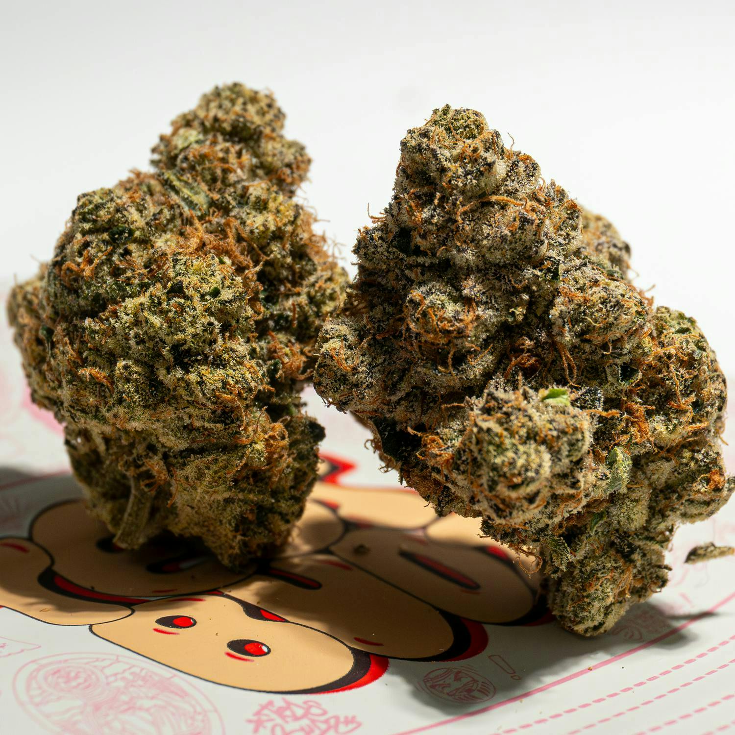 TEDS BUDZ — Sweet