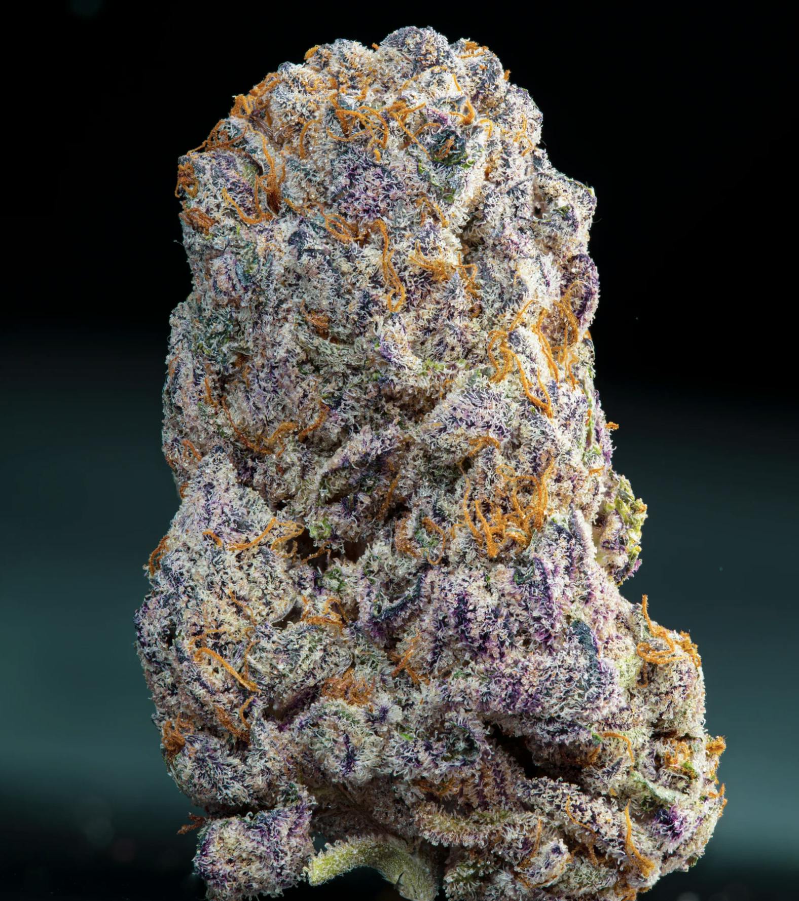 Rolly - Permanent Pie 3.5g