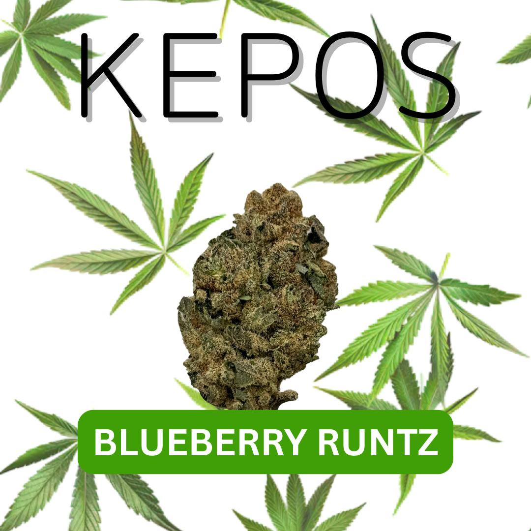 Kepos - Blueberry Runtz 28g - PREMIUM FLOWER