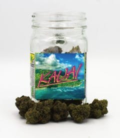 Platinum | Kauai | Big Buds | 28g