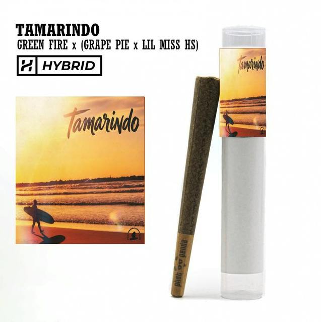 Tamarindo | Joint | 1g