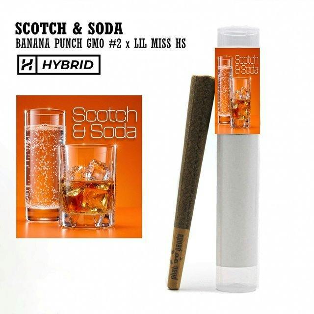 Scotch & Soda | Joint | 1g