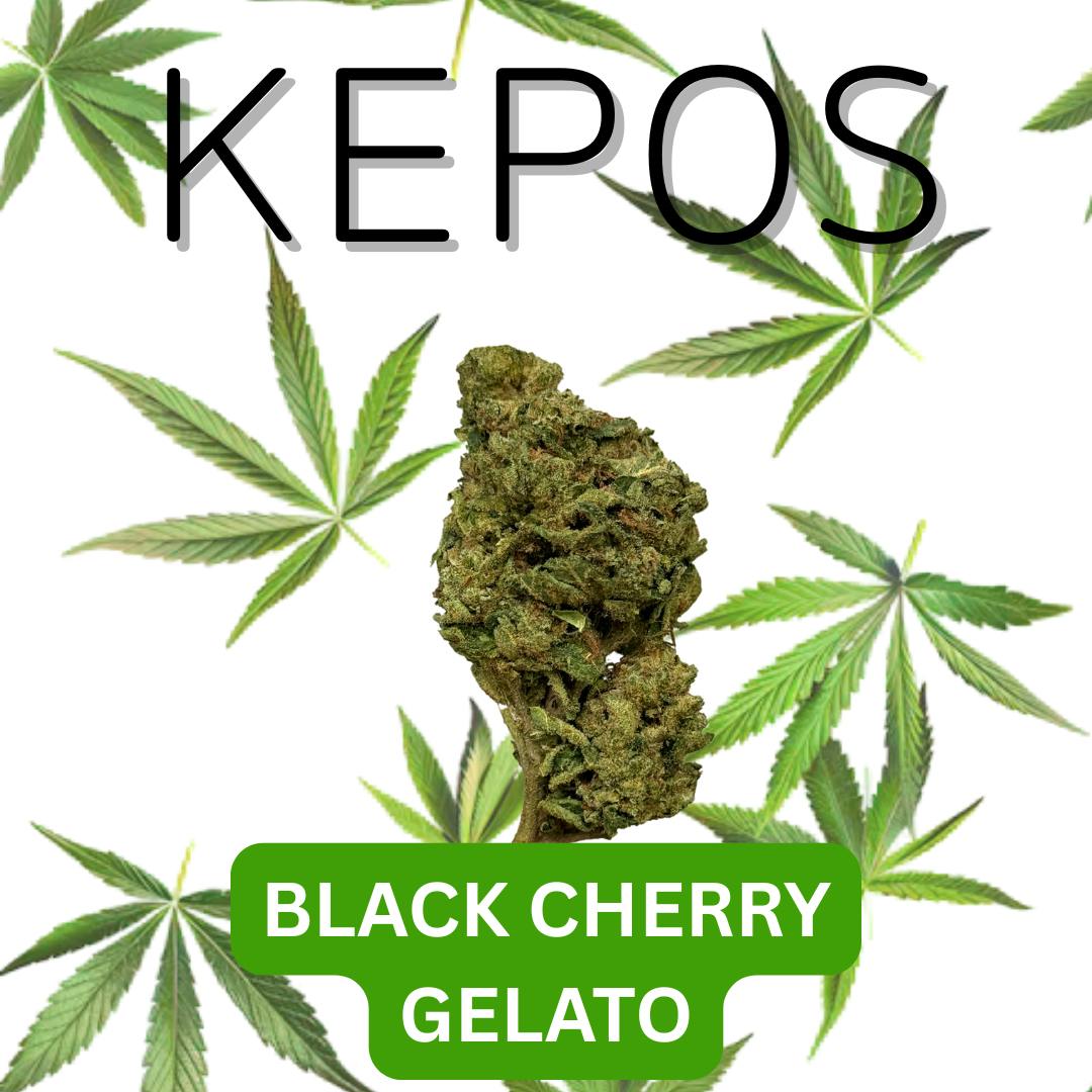Kepos - Black Cherry Gelato 3.5g - PREMIUM FLOWER