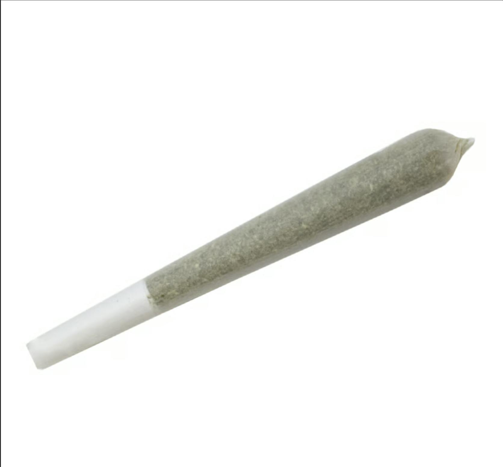 A Golden State | Shasta Bloom | Joint | 1g
