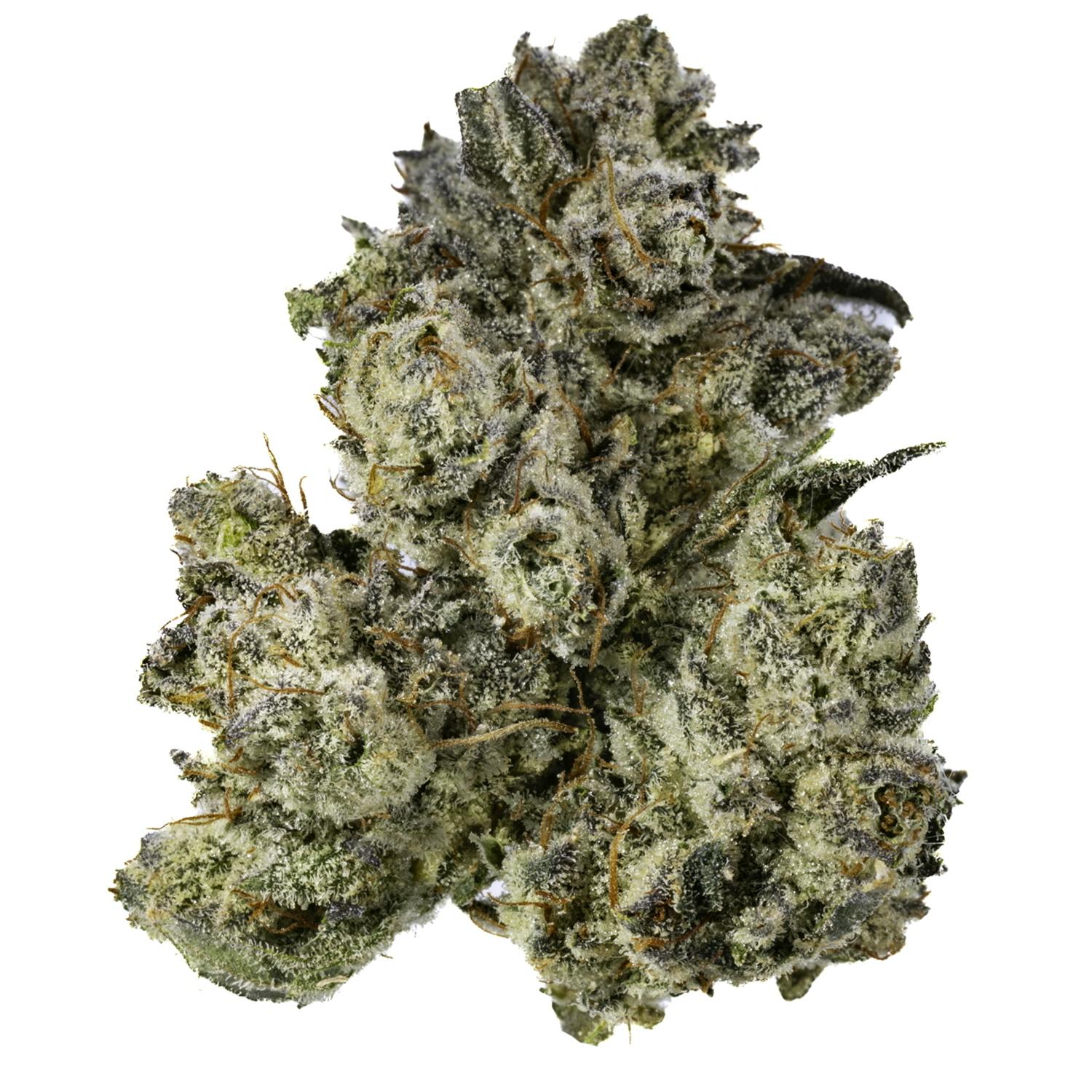 West Coast Cure — GG4