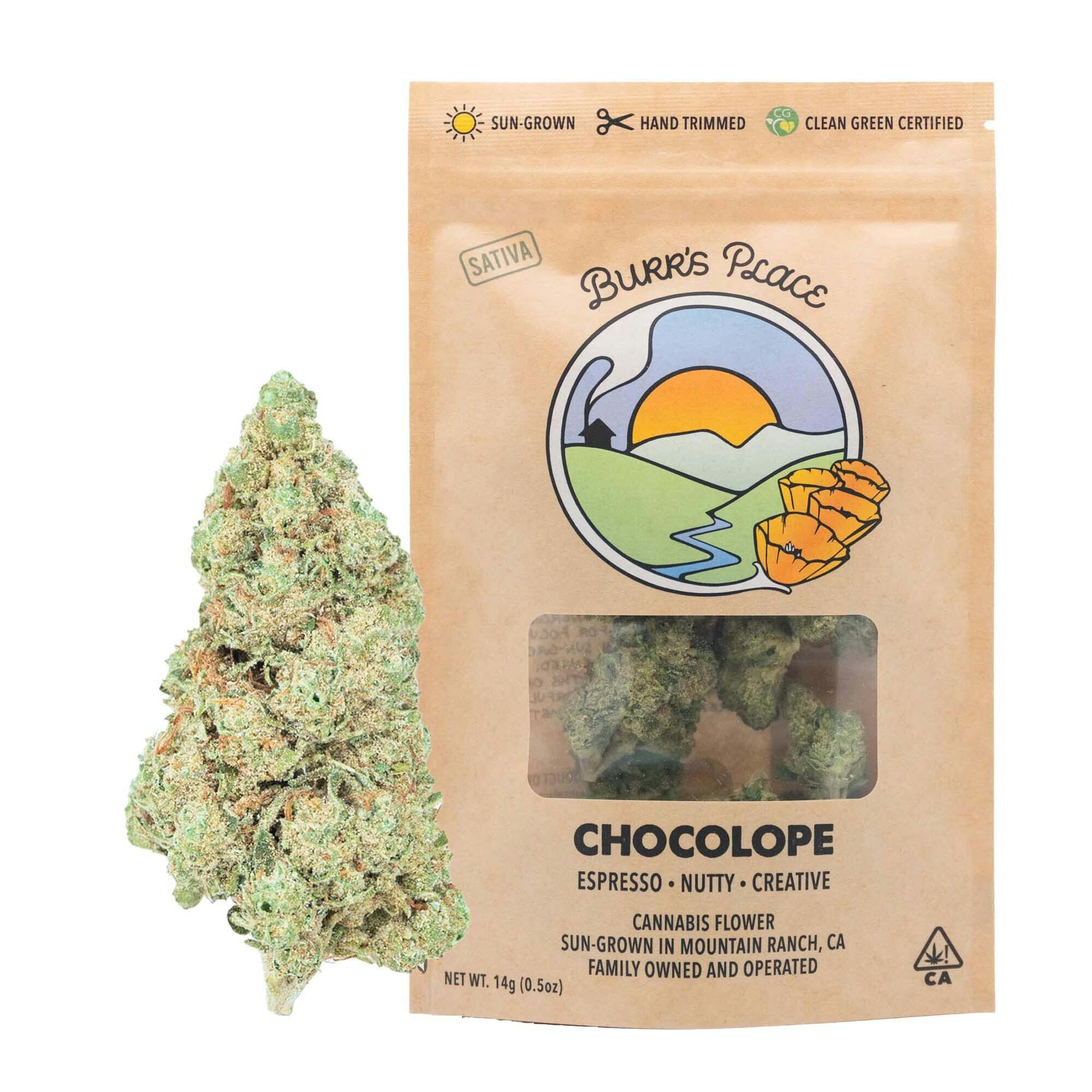 Burr's Place: Chocolope - Big Buds - 14g