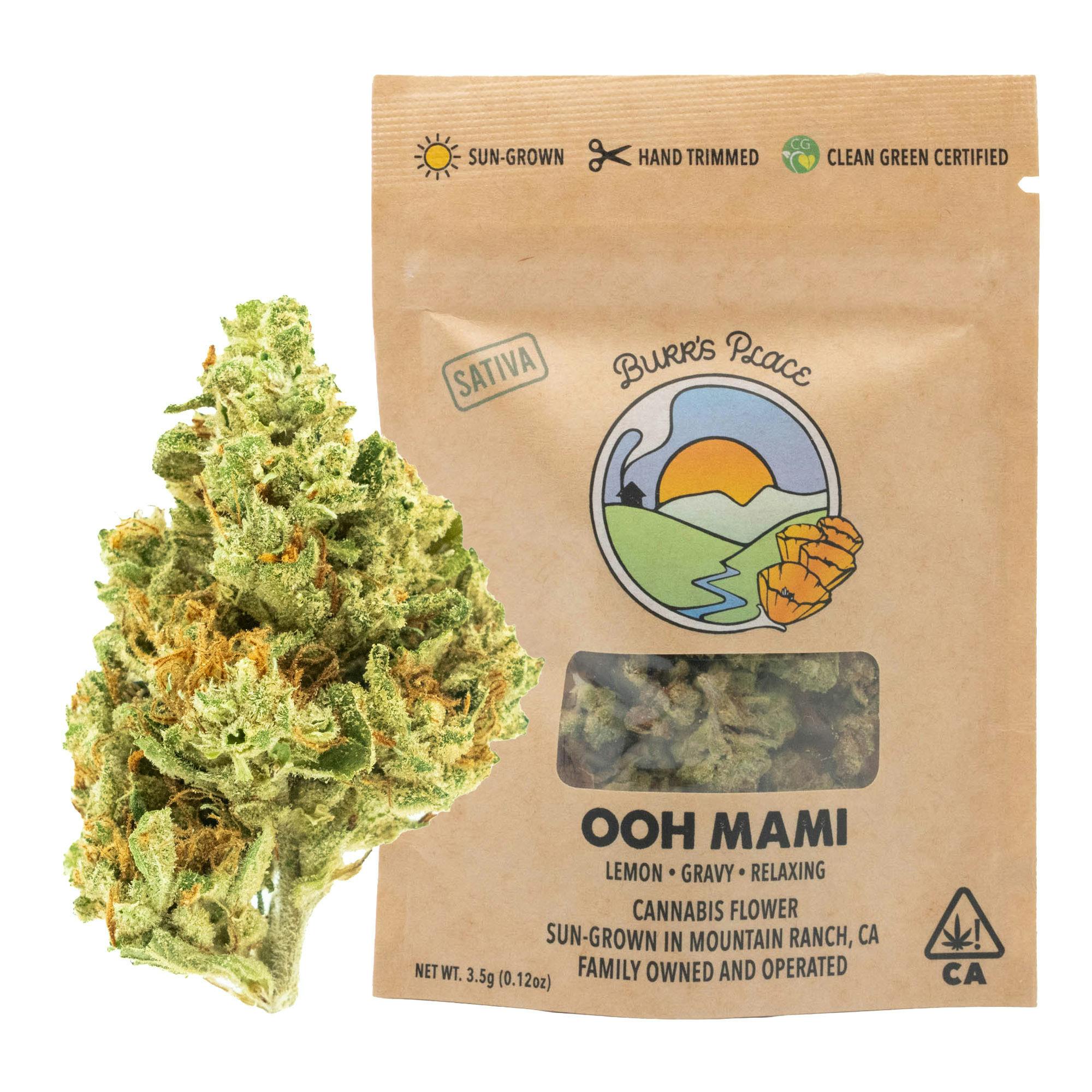 Burr's Place: Ooh Mami