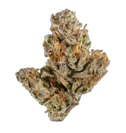 Purple Lotus: Astro - Yellow Zu