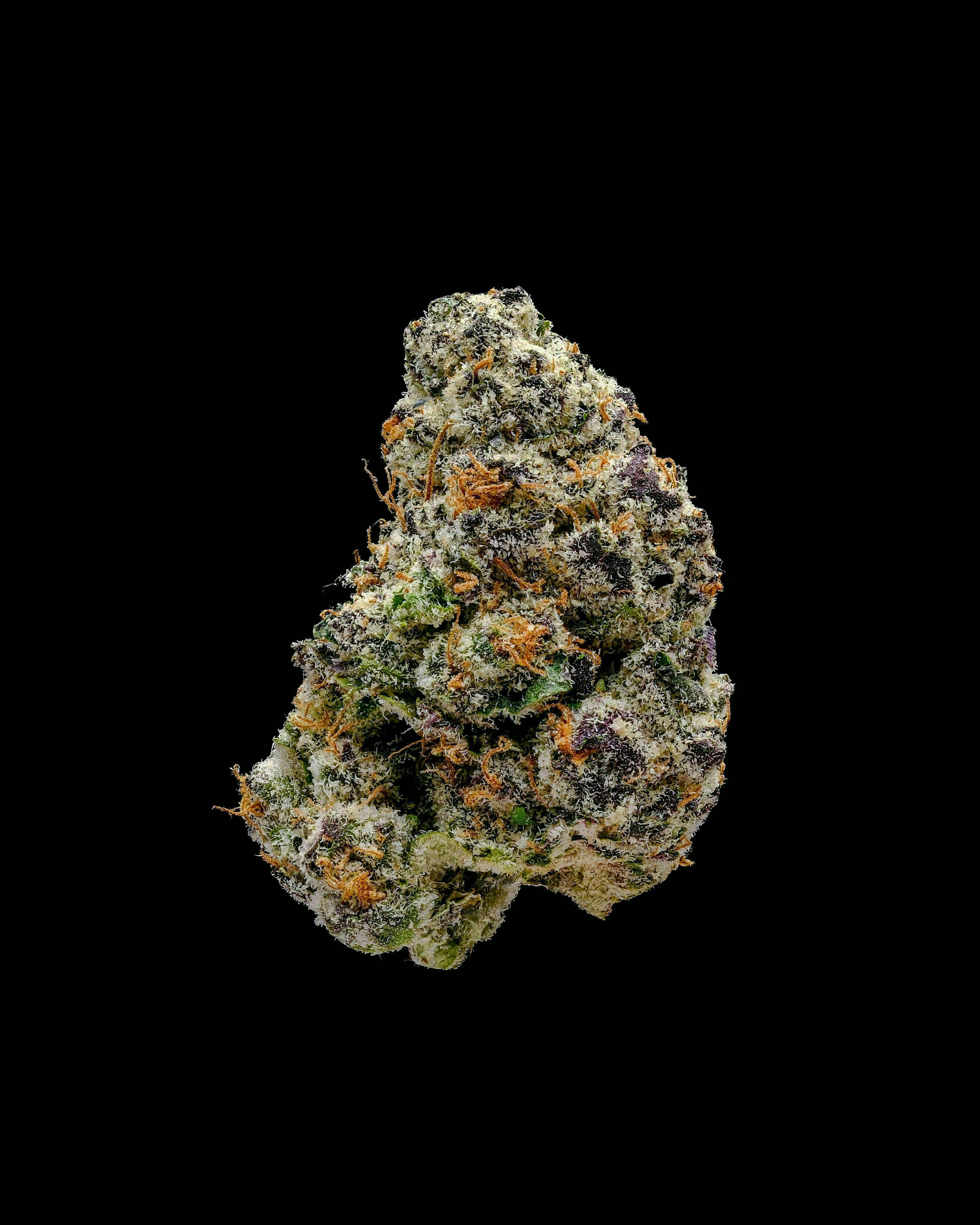 Vice City (30.4%)