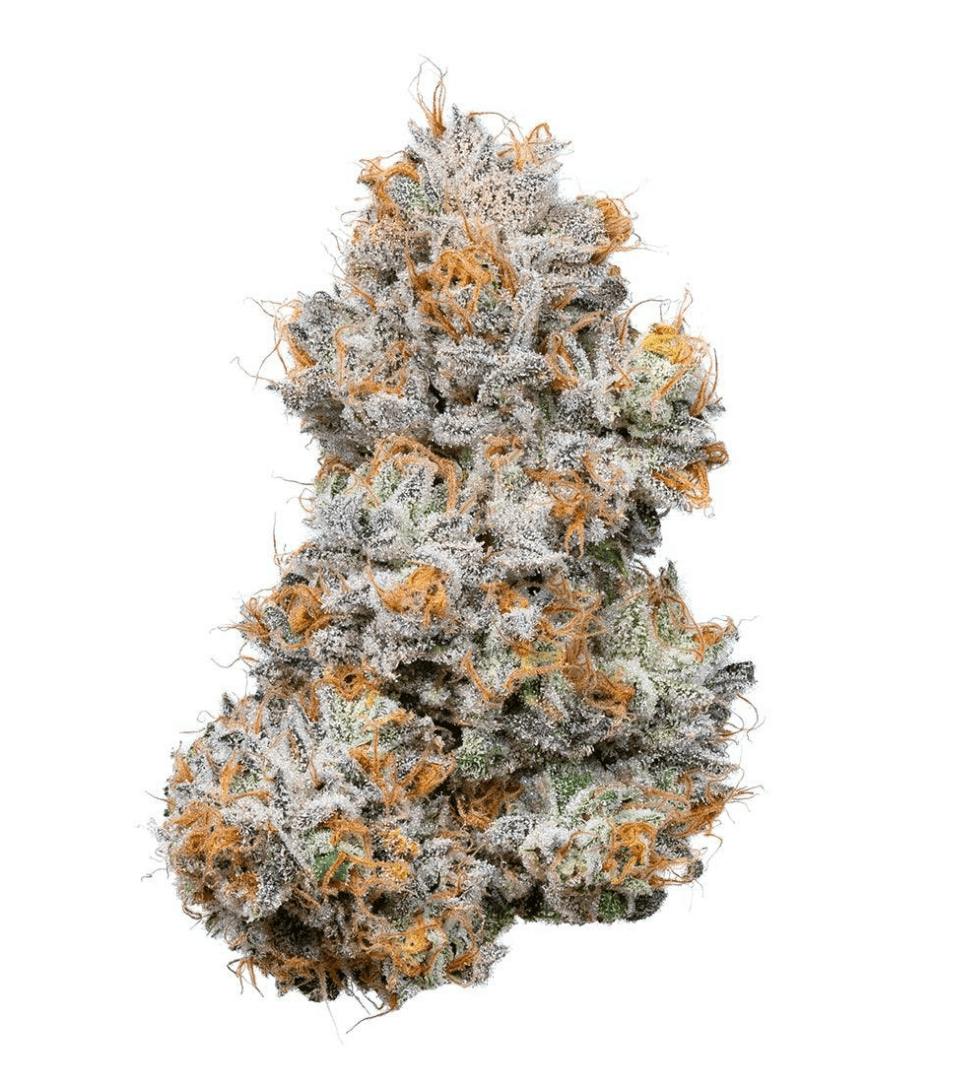 FROZEN RUNTZ - 420 SPECIAL- Topshelf Indoor - Indica - Frostiez