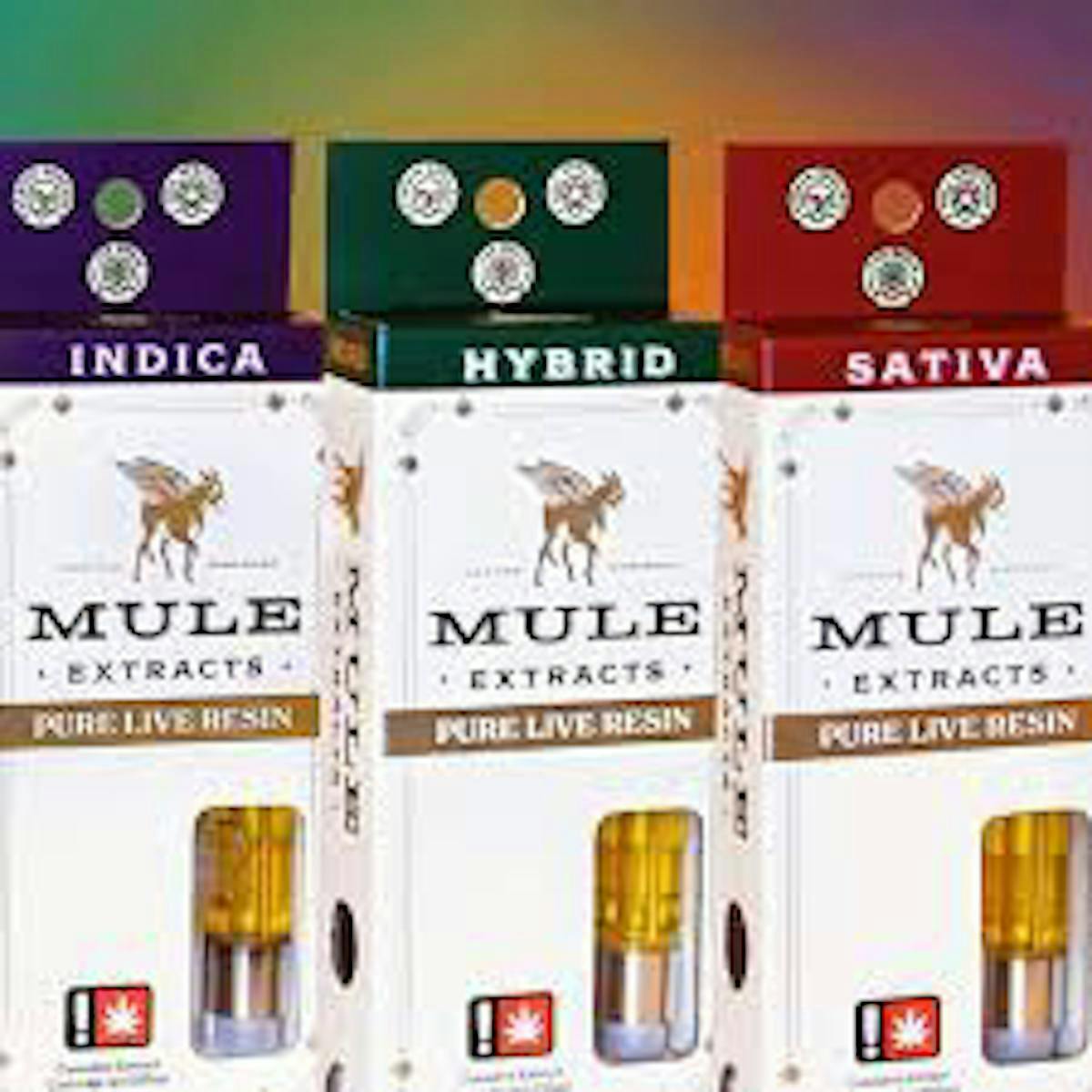 Mule Extracts: 9lb Hammer