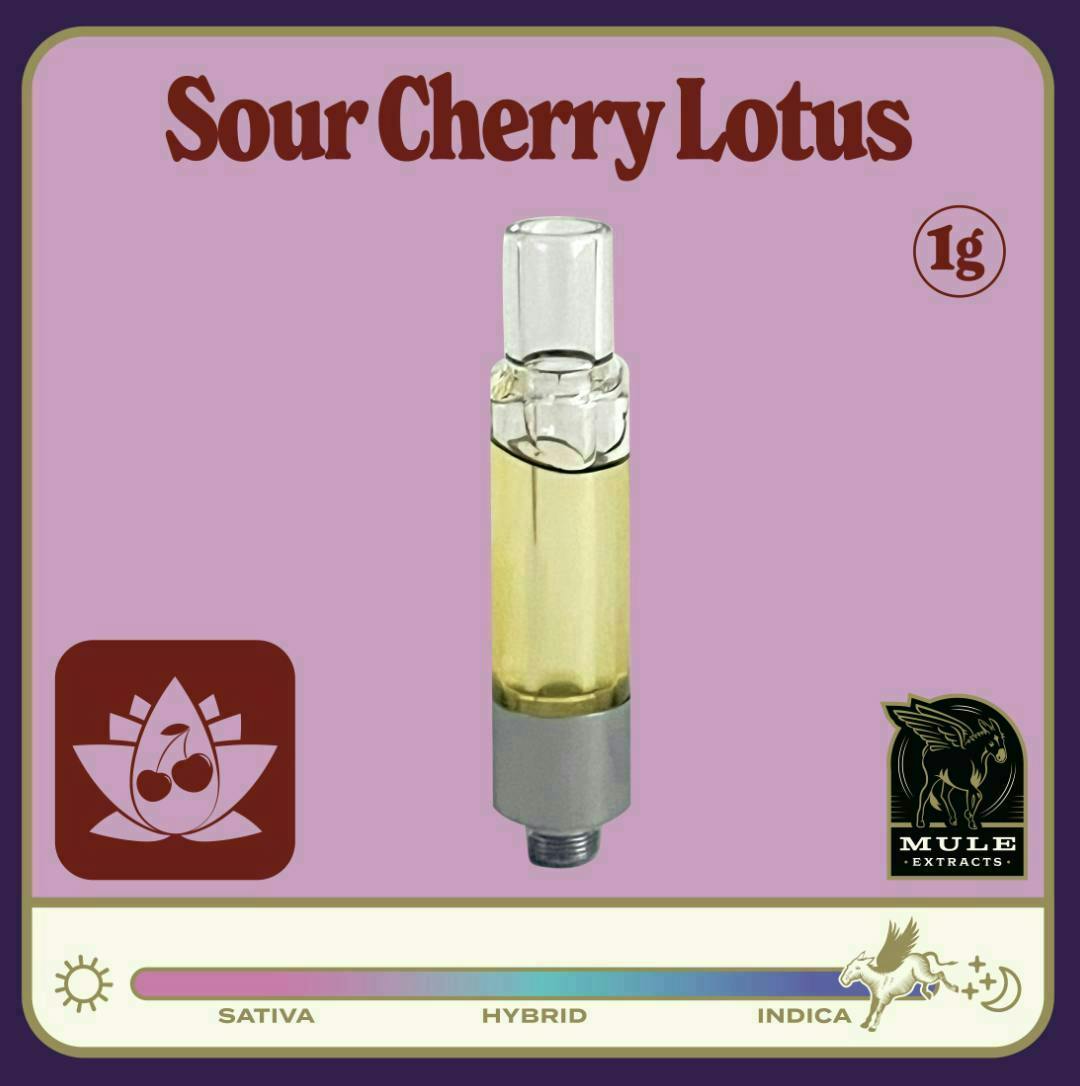 Mule Extracts: Sour Cherry Lotus