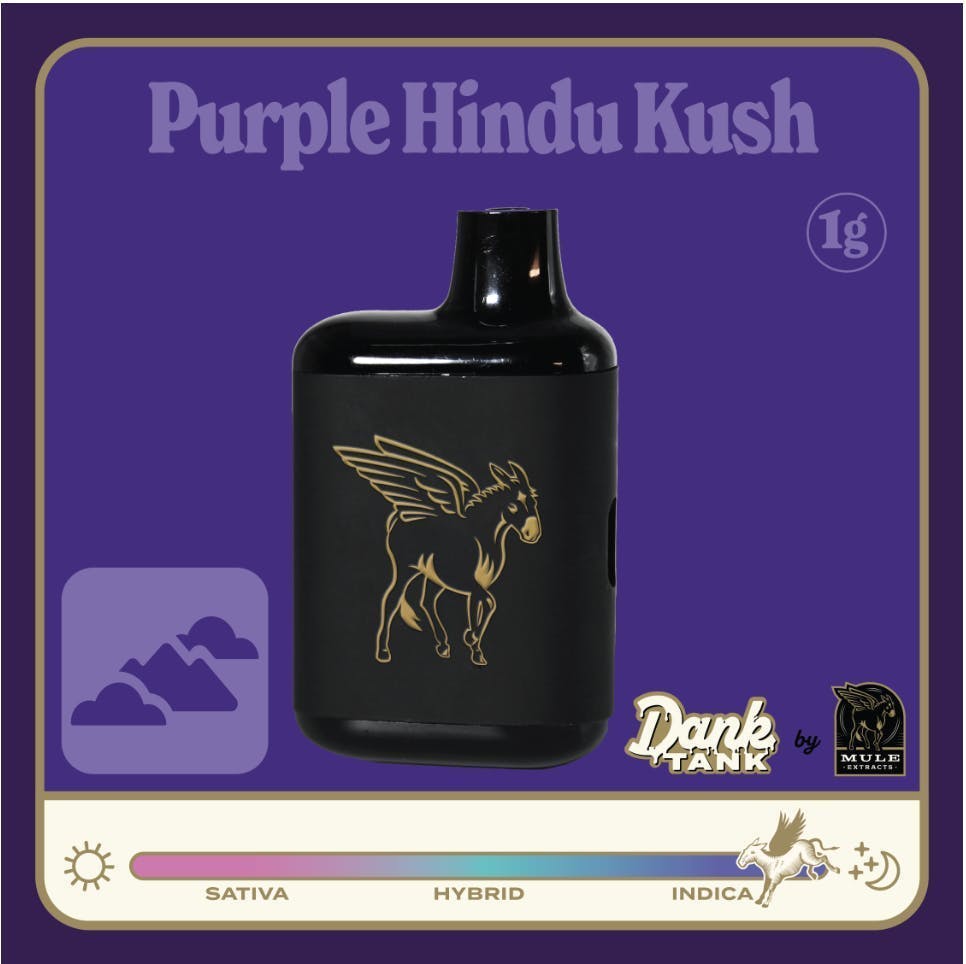 Mule Extracts: Purple Kush