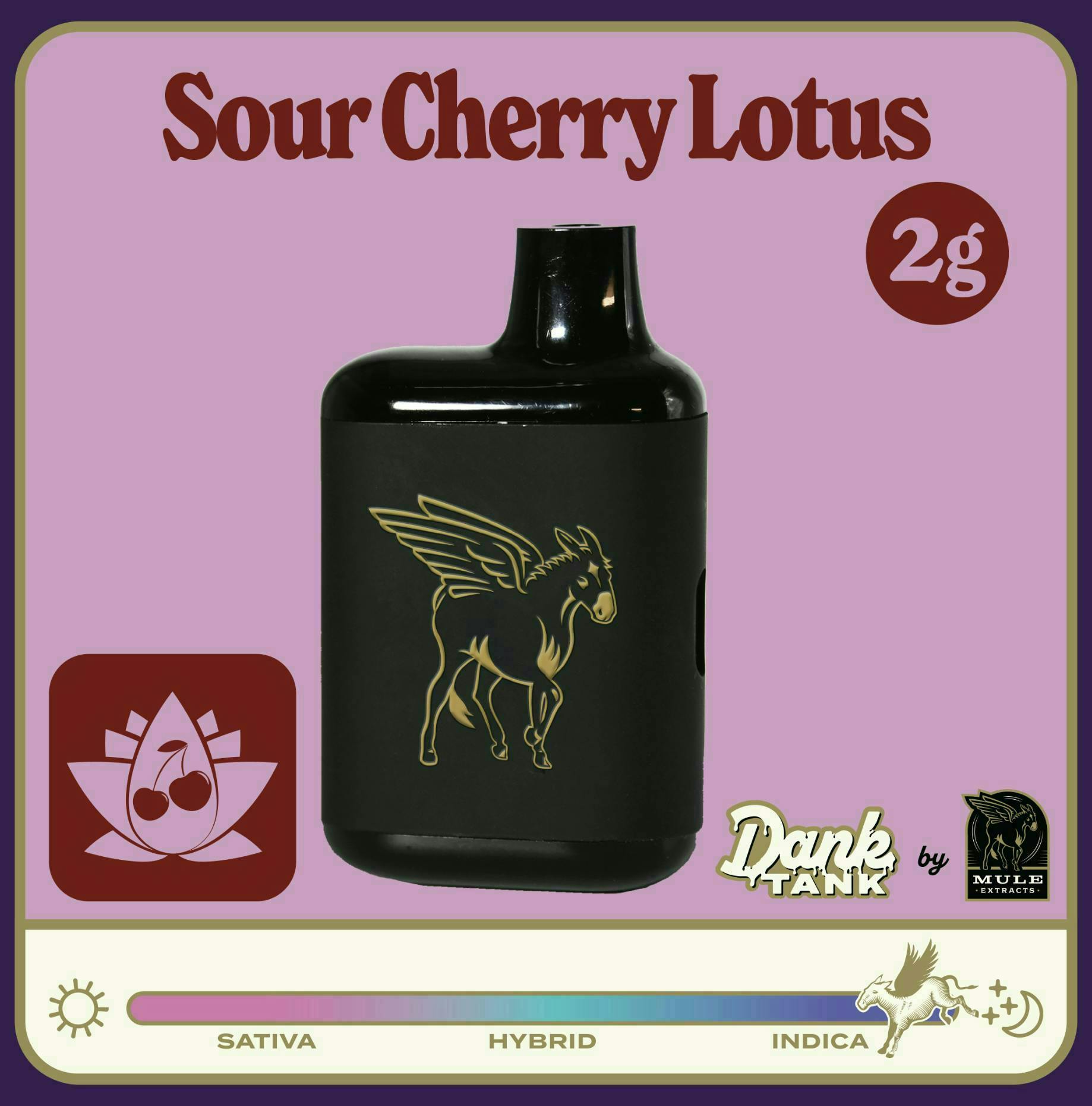 Mule Extracts: Sour Cherry Lotus