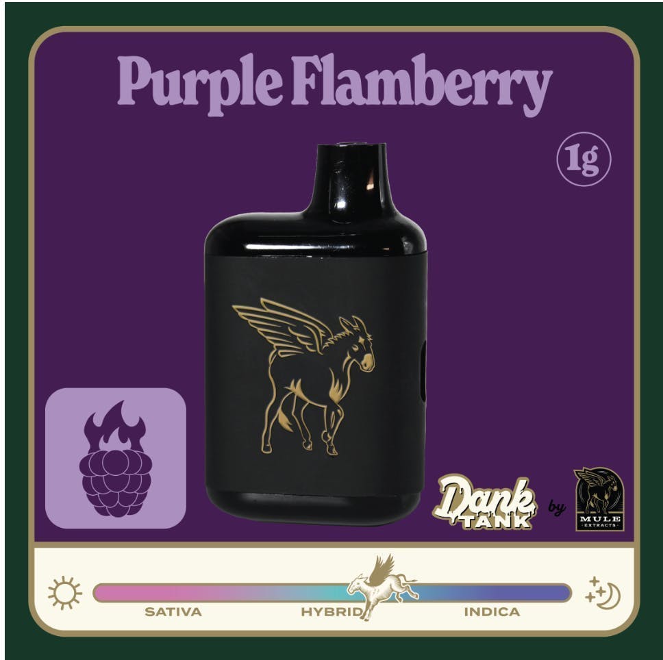 Mule Extracts: Purple Flamberry