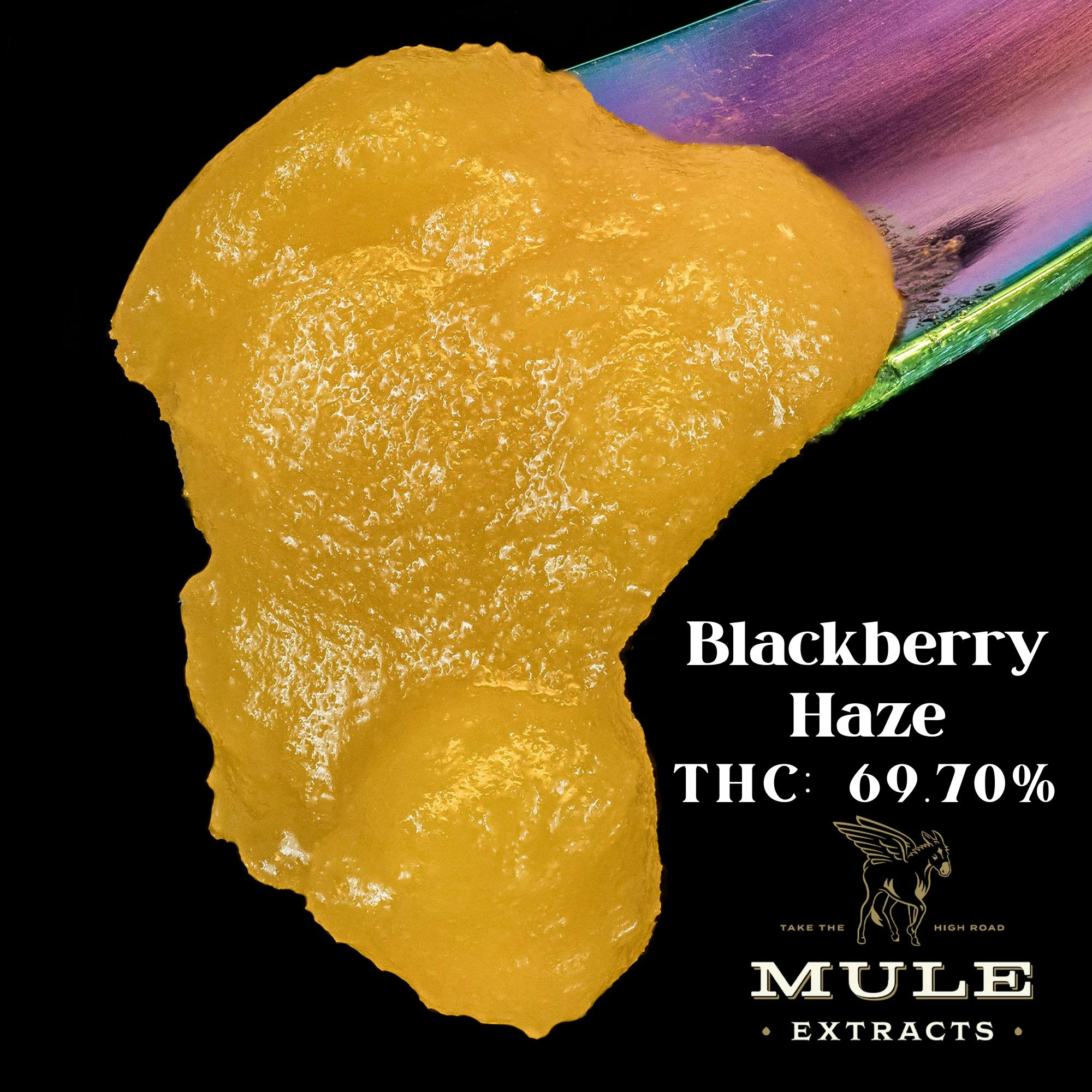 Mule Extracts: Blackberry Haze