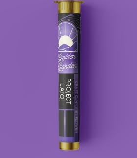 Project Lato | Joints | 1g