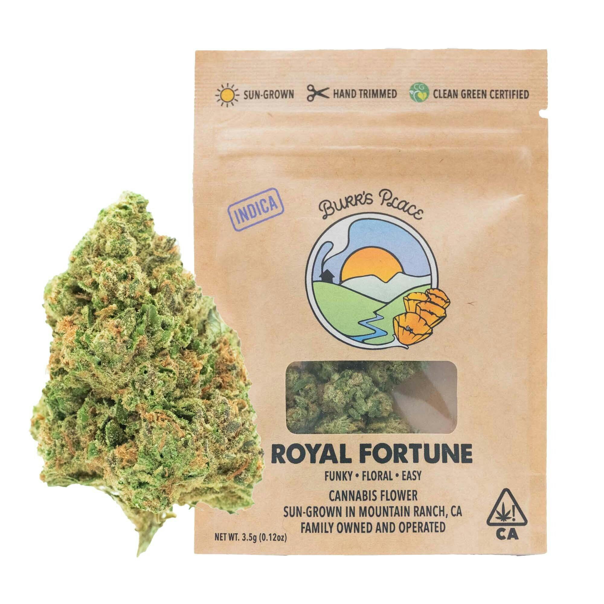 Burr's Place: Royal Fortune