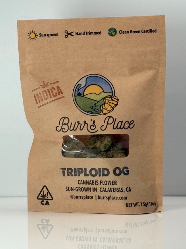 Burr's Place — Triploid OG