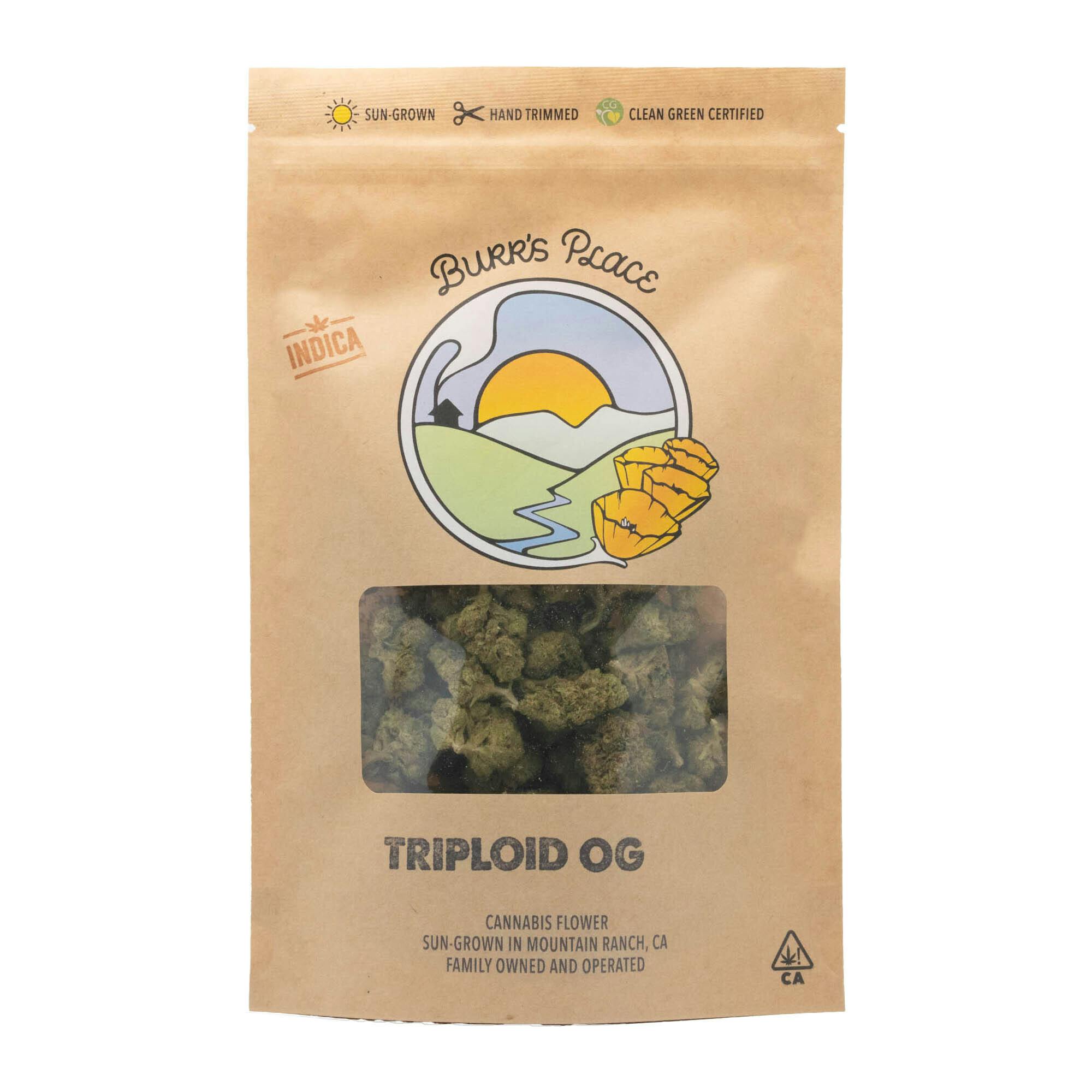 Burr's Place: Triploid OG