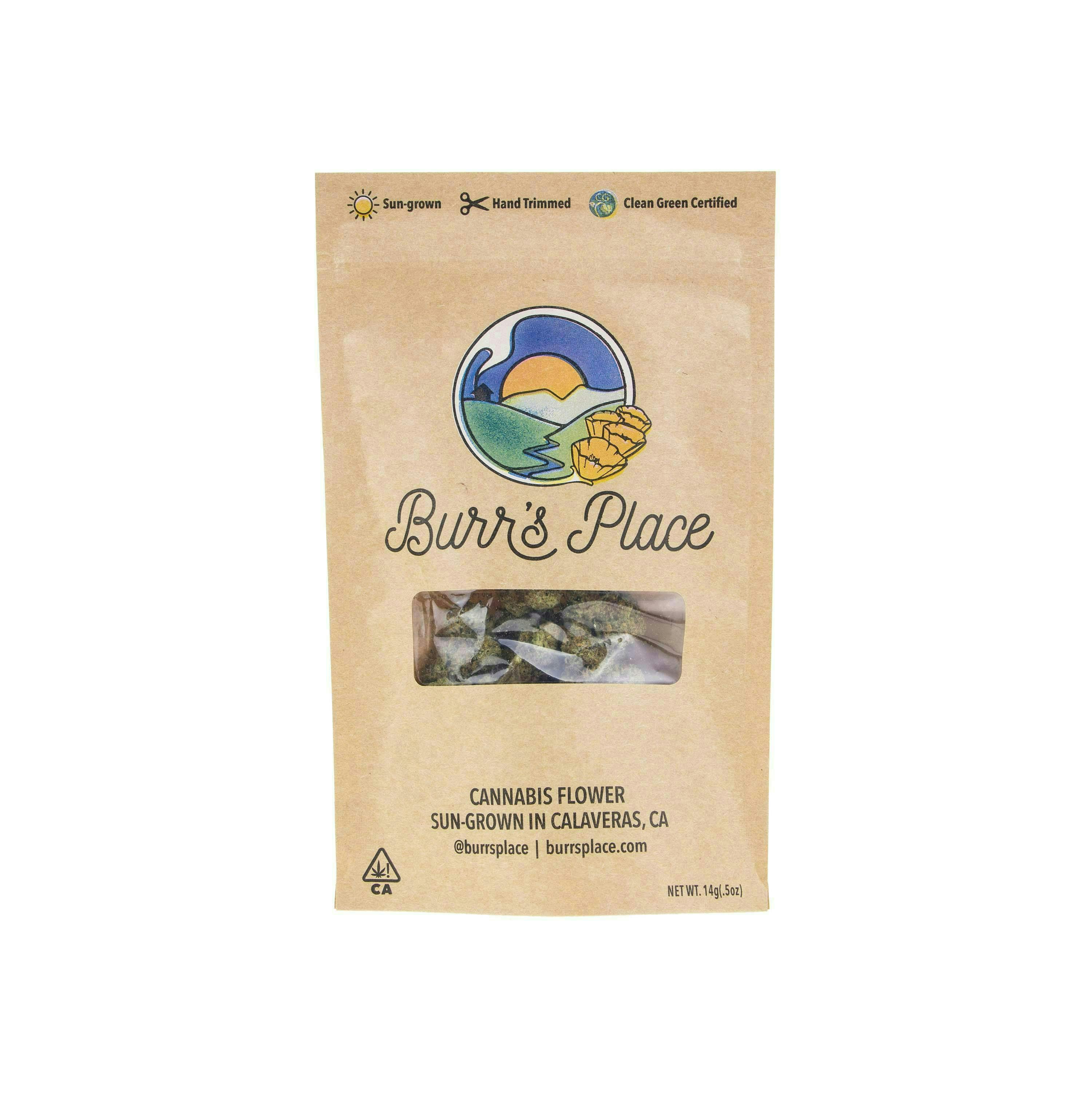 Burr's Place — Tropicana Shoes