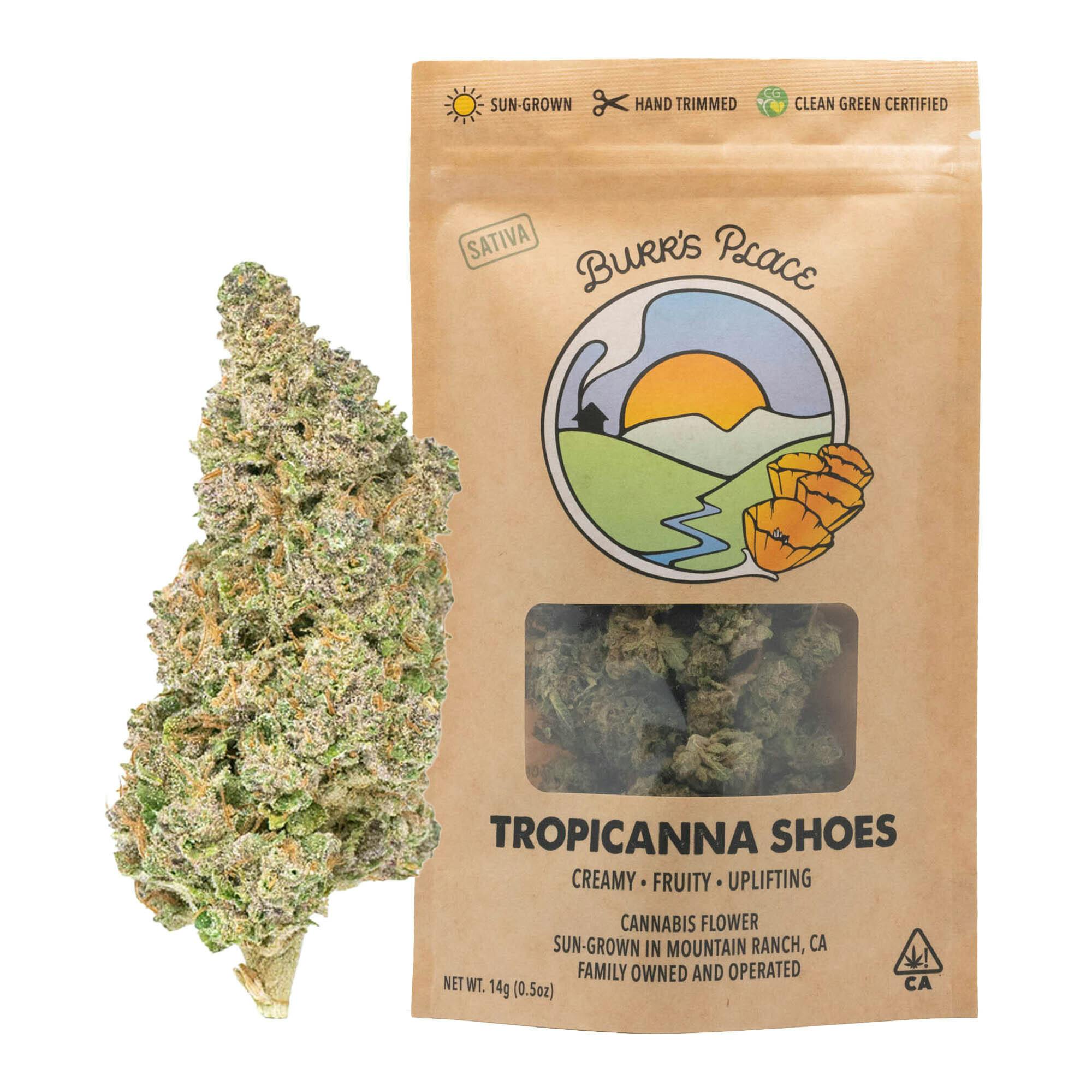Burr's Place: Tropicanna Shoes