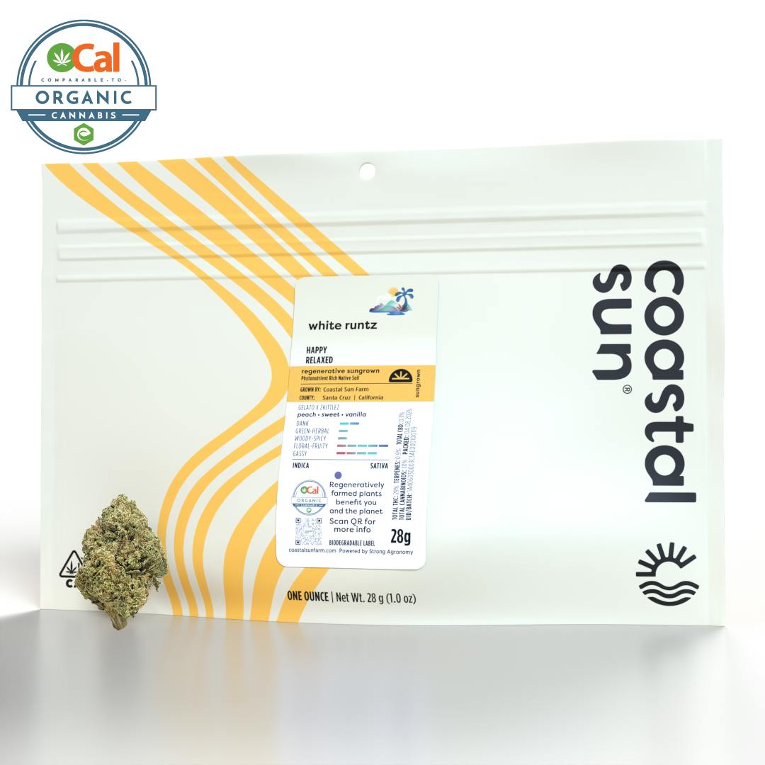 Coastal Sun — White Runtz