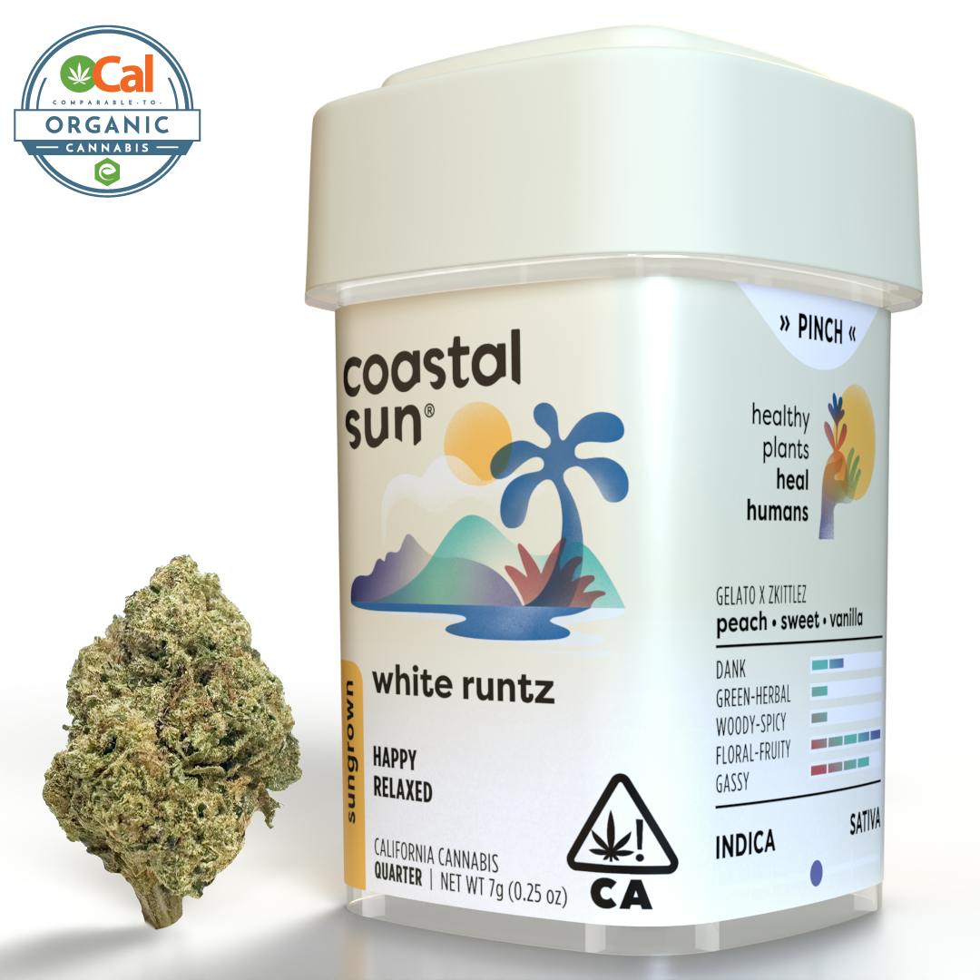 Coastal Sun — White Runtz