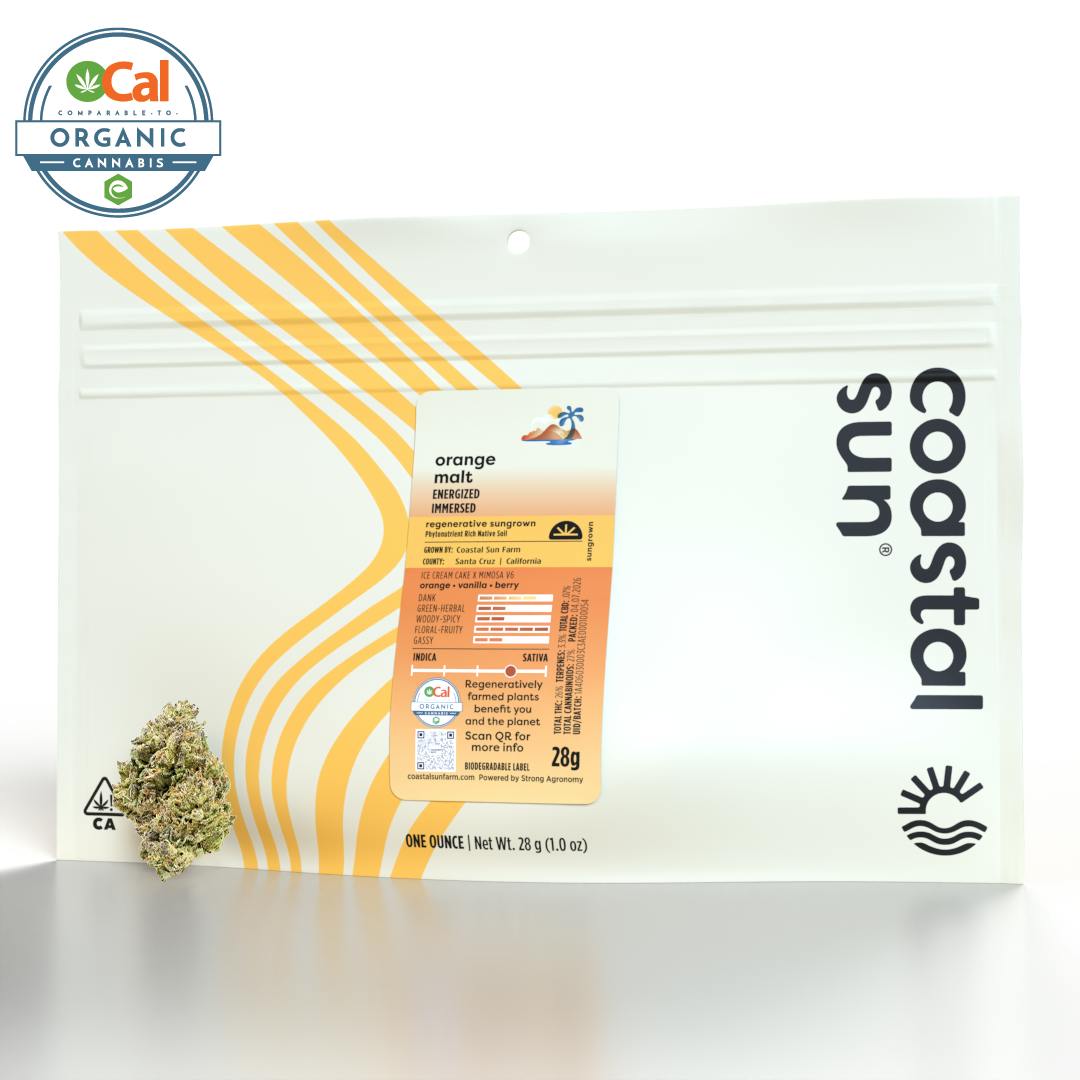 Coastal Sun — Orange Malt