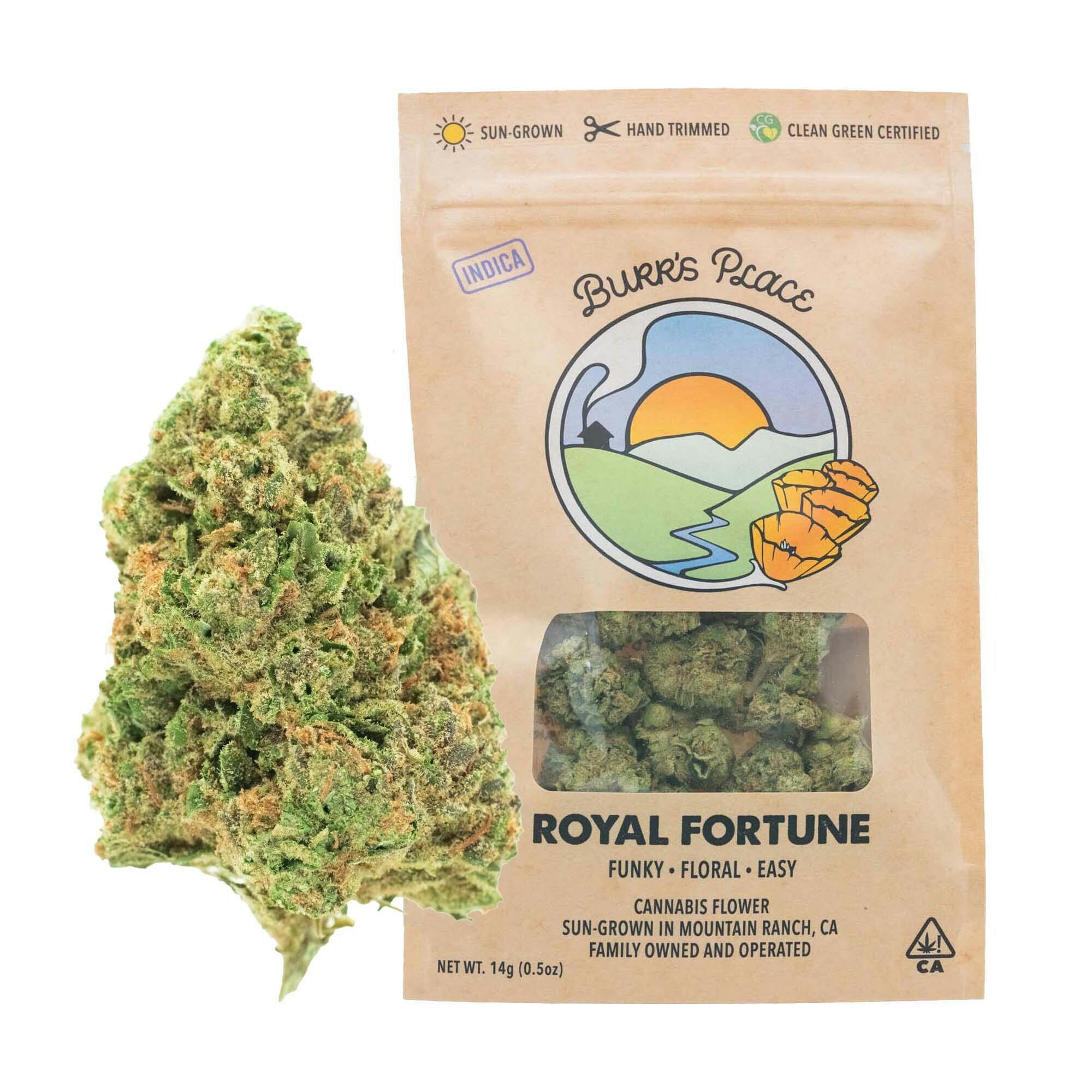 Burr's Place: Royal Fortune