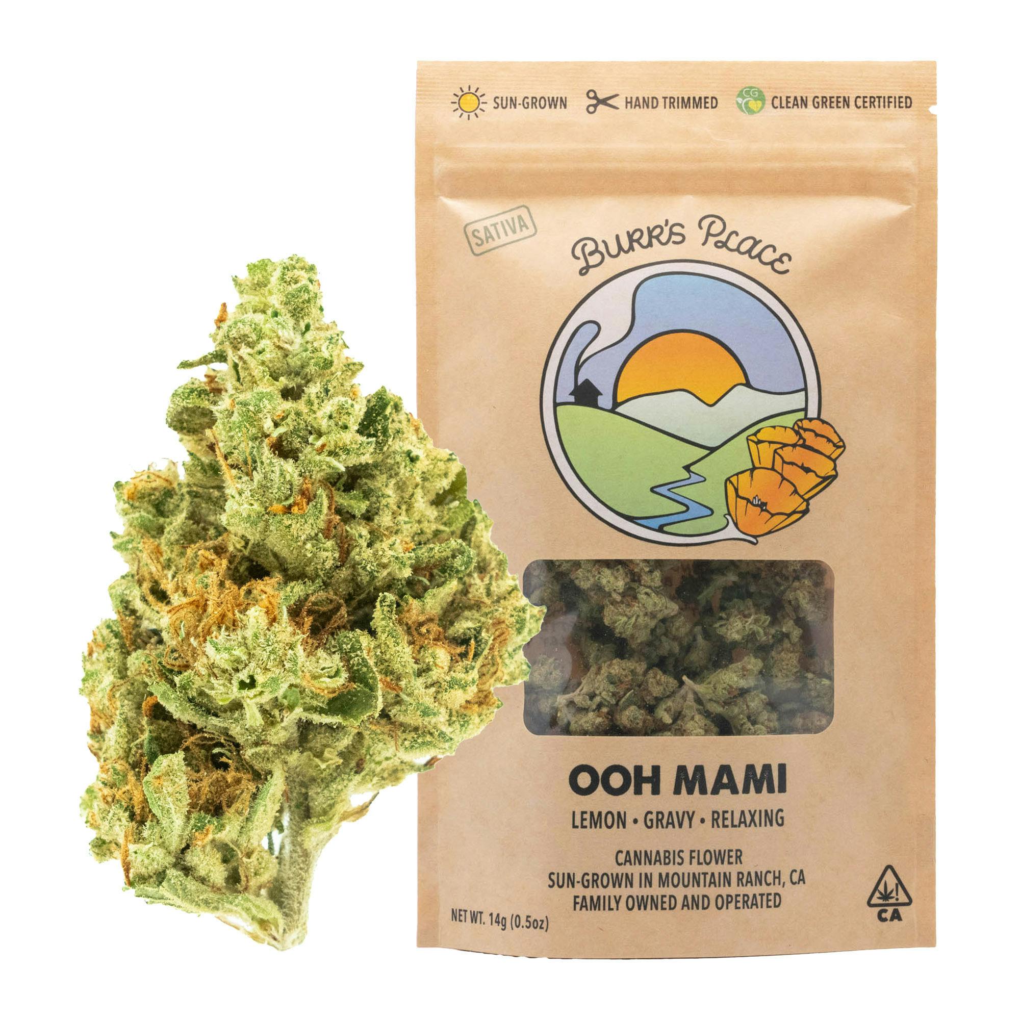 Burr's Place: Ooh Mami