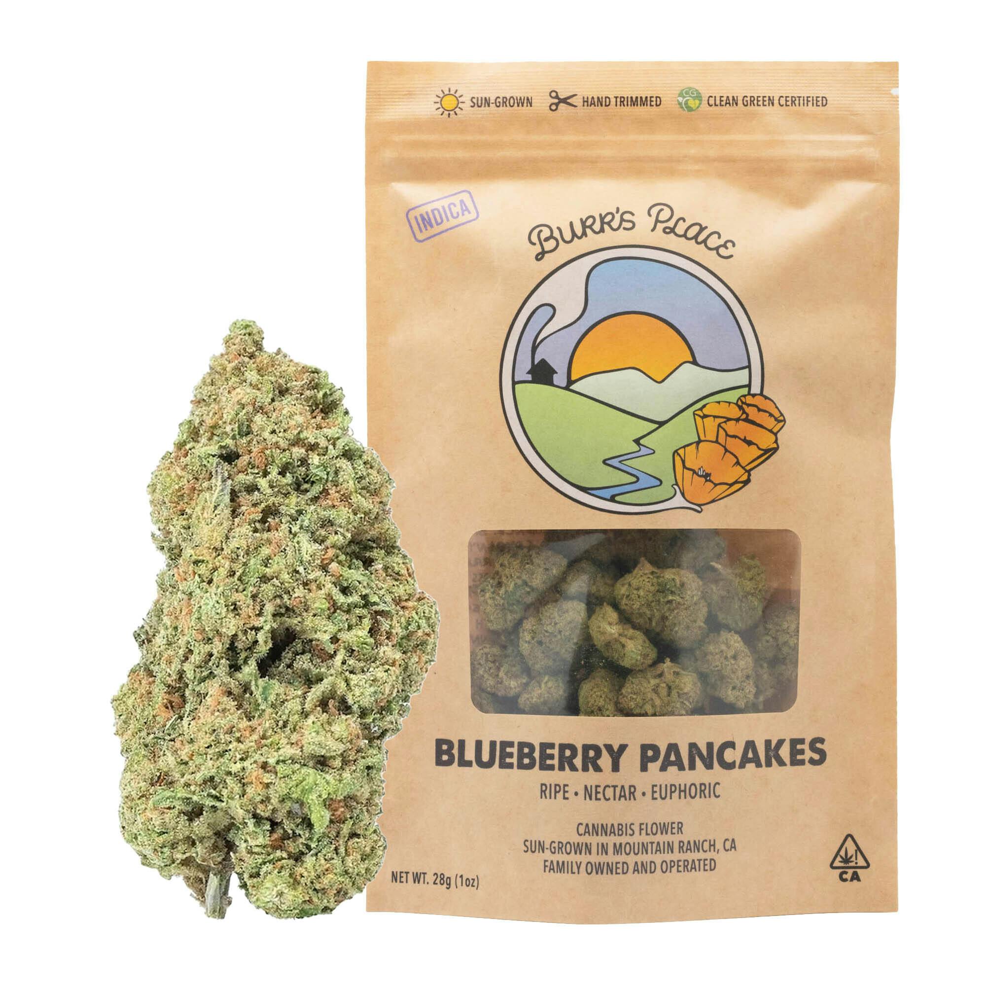 Blueberry Pancakes | Big Buds | 28g