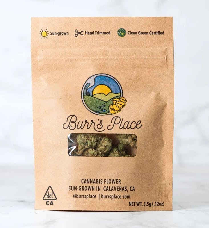 Burr's Place — Blueberry Pancakes