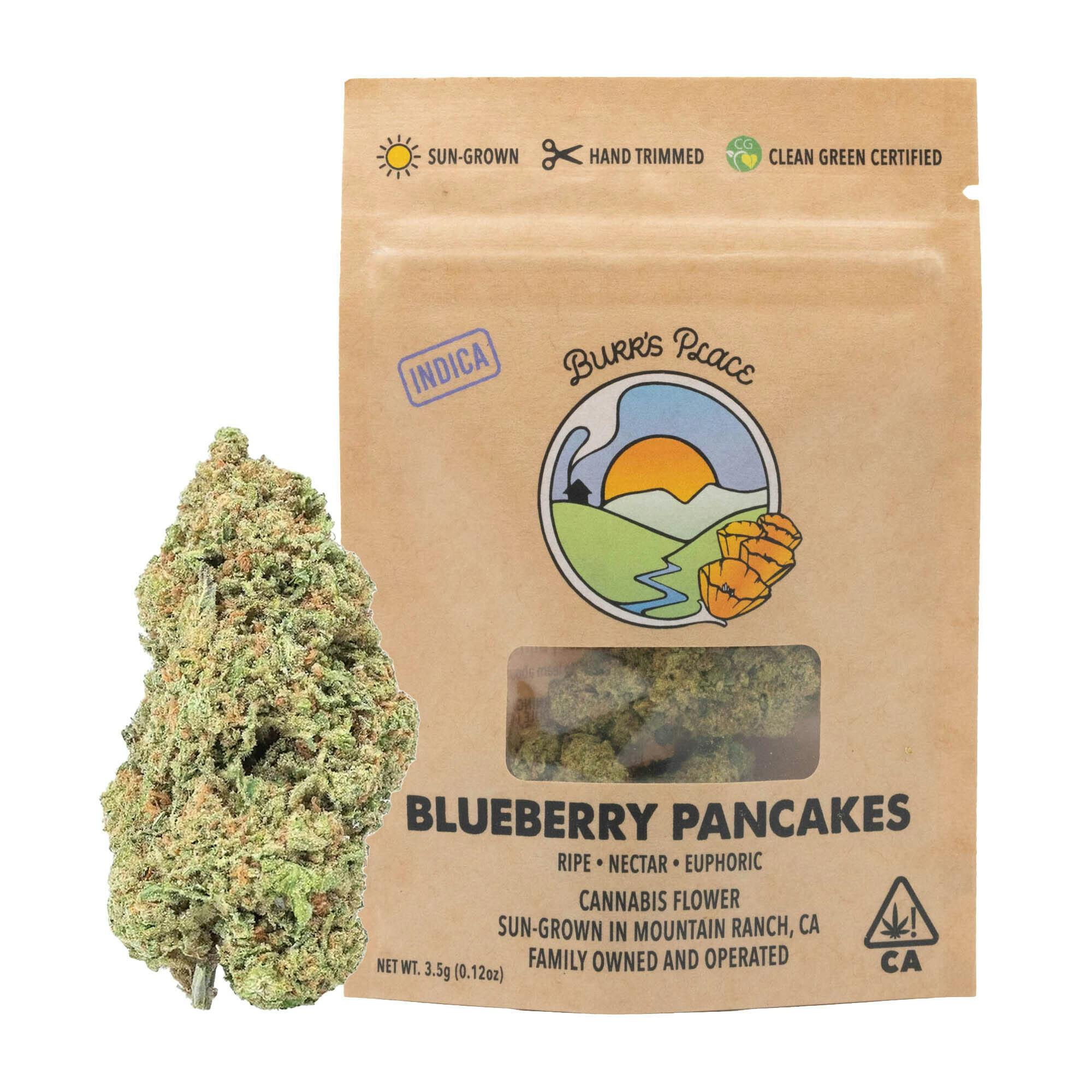 Burr's Place: Blueberry Pancakes
