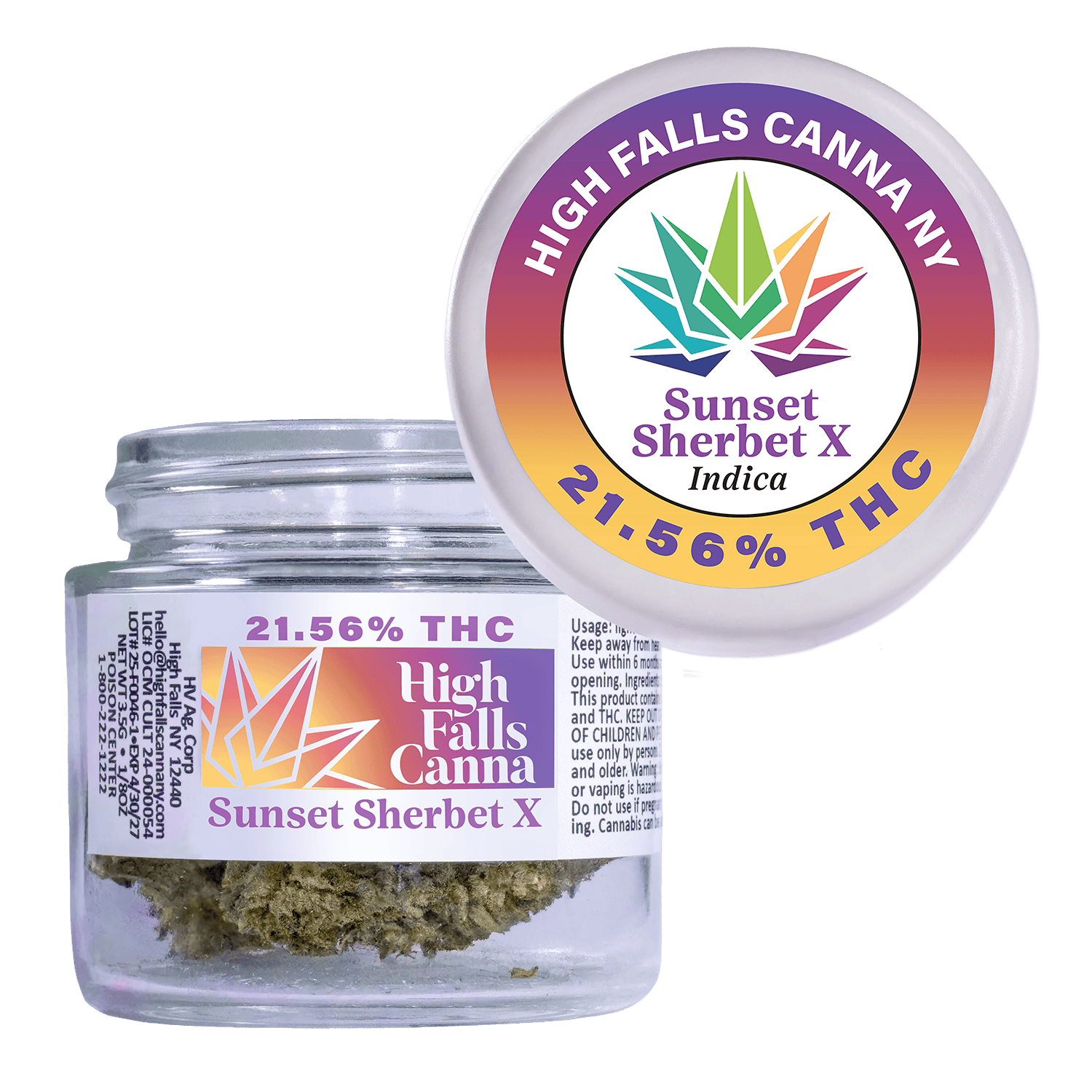 High Falls Canna | Sunset Sherbet X | 3.5g