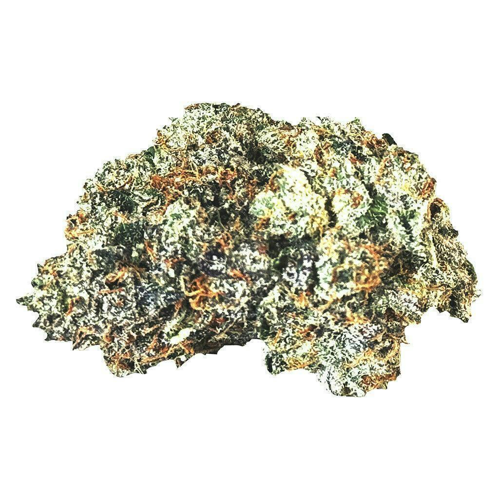Gas n' Up | Big Buds | 14g