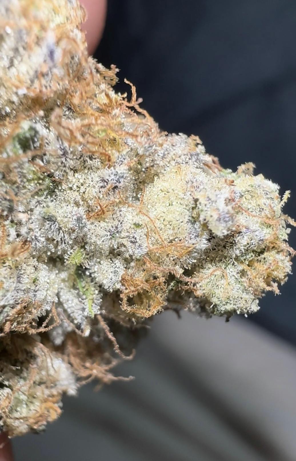 Oklahoma Outlawz | Trill Spill | Big Buds | 3.5g by Oklahoma Outlawz