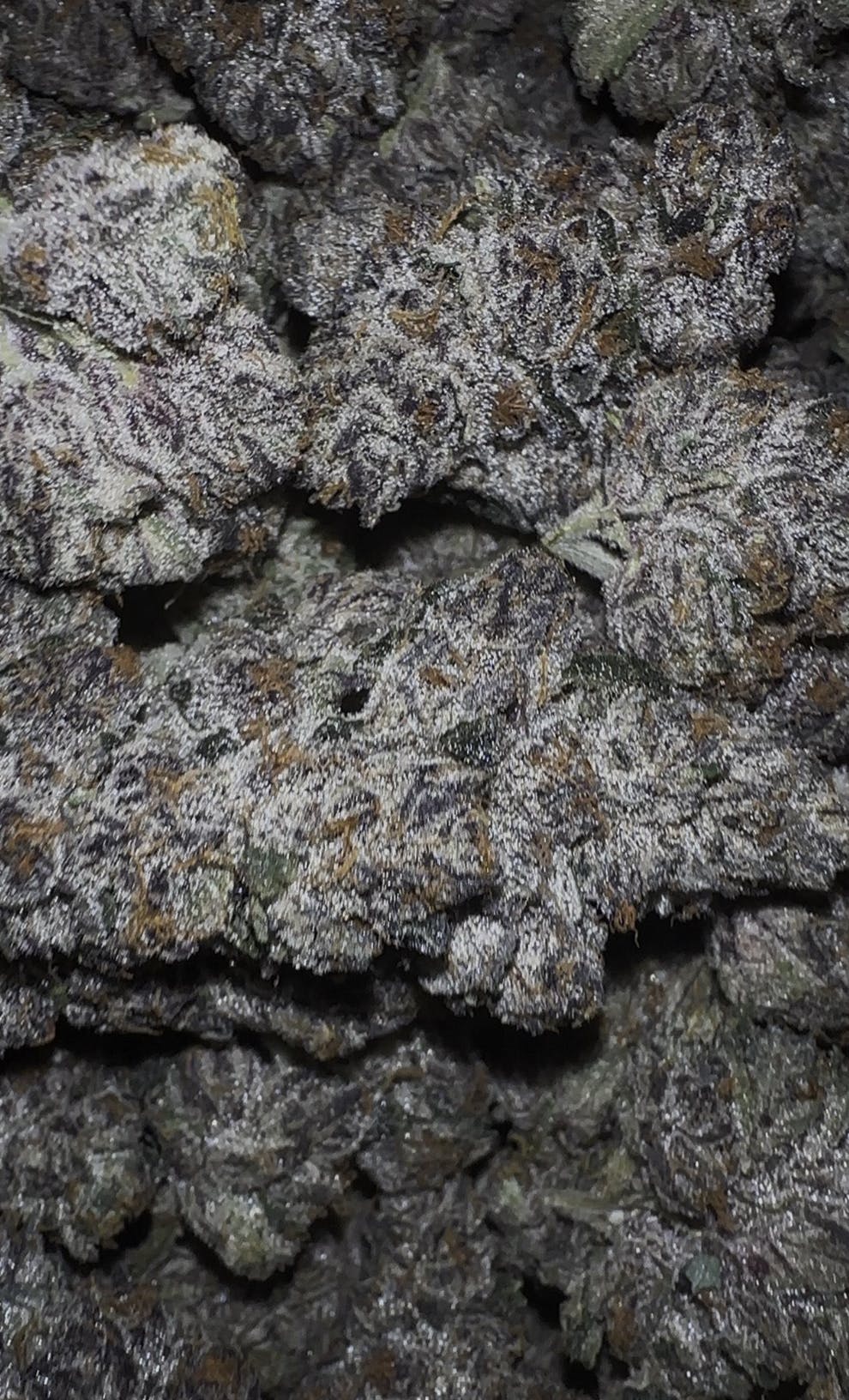 Oklahoma Outlawz | Kimber Slice | Big Buds | 3.5g by Oklahoma Outlawz