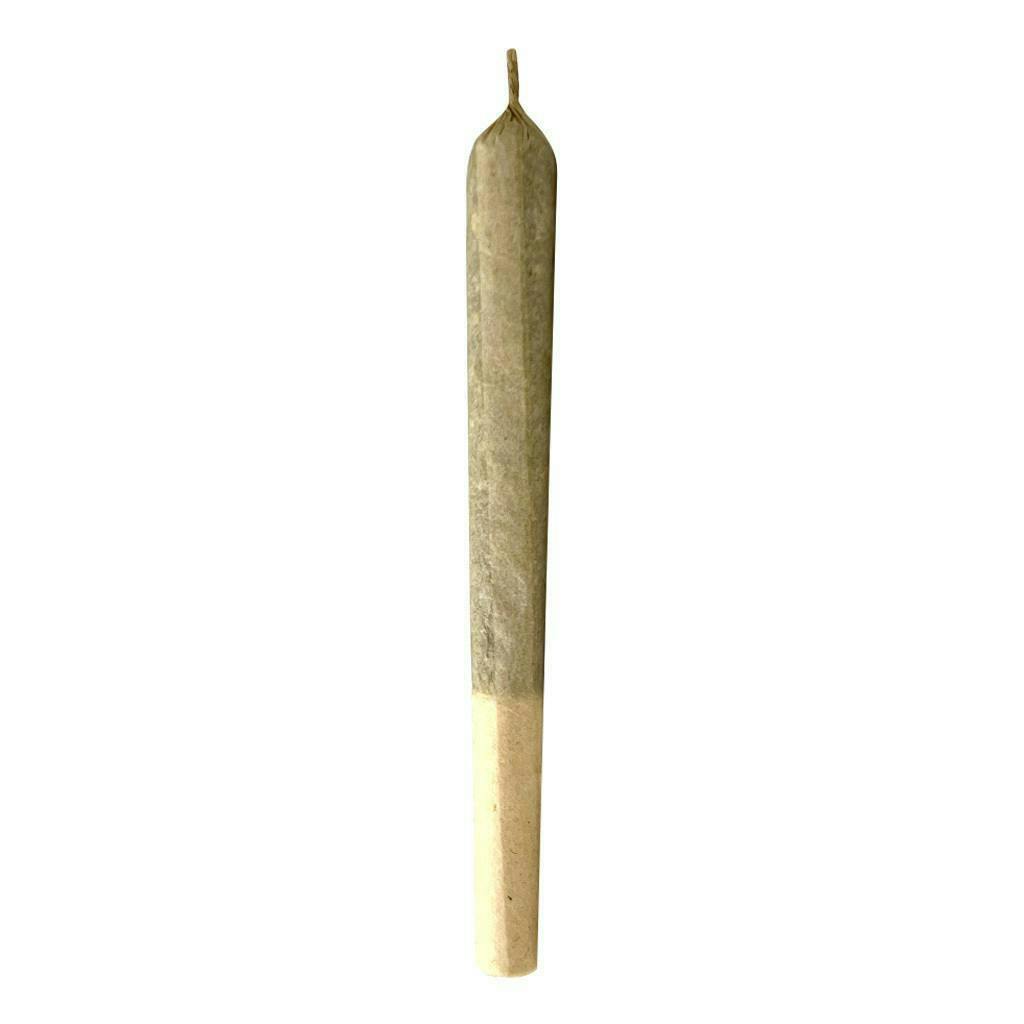 Jungl' Cake | Minis | 0.5g | 7pk