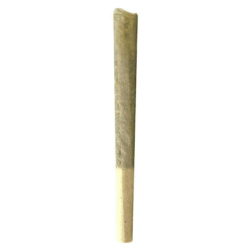 East Coast Dank'z | Minis | 0.5g | 7pk