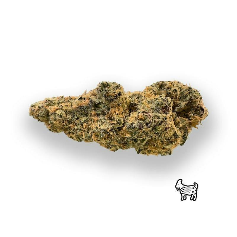 GOAT DADDY | BIG BUDS | 7 G