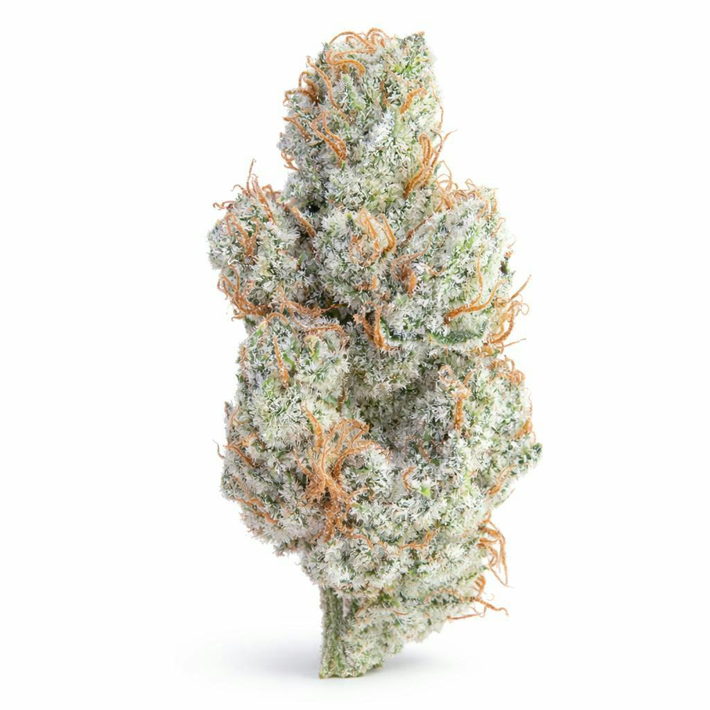 The Memo | Cherry Pie | Big Buds by The Memo