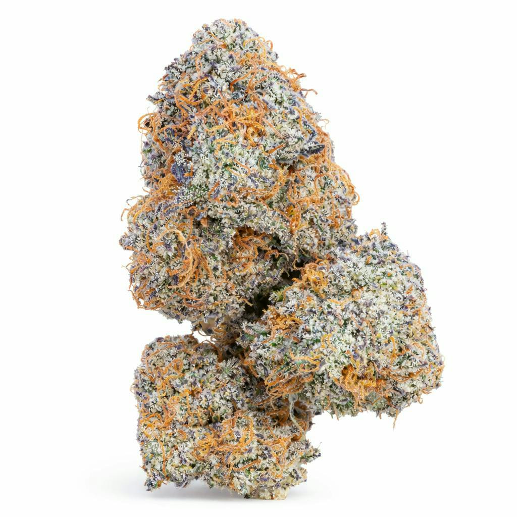 The Memo | Lilac Diesel | Big Buds