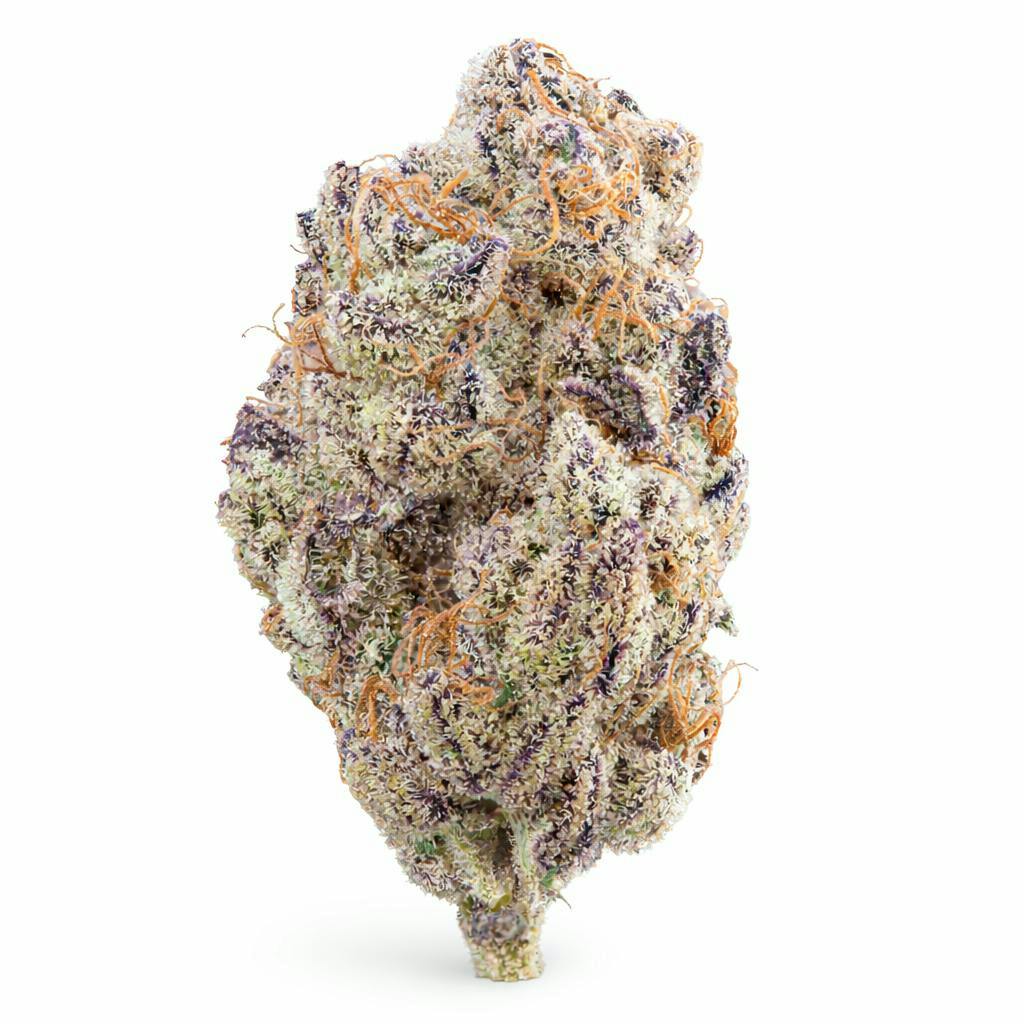 The Memo | Grimm Glue | Big Buds | 3.5g
